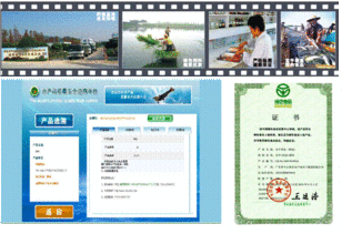 草魚提質(zhì)減排關(guān)鍵技術(shù)研發(fā)與產(chǎn)業(yè)化應(yīng)用 榮獲水科院科技進(jìn)步一等獎(jiǎng)