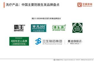 《艾媒報(bào)告深度解讀 脫發(fā)保健行業(yè)趨勢與消費(fèi)行為演變（2019-2021）》